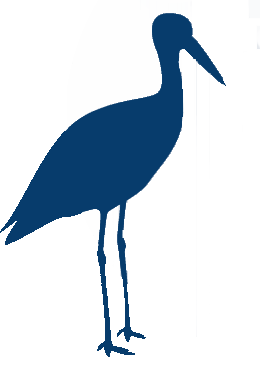 Blue Heron